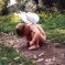Little Angel